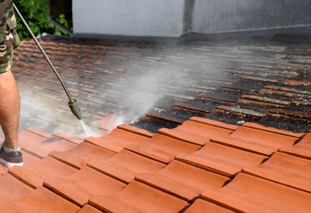 Best Roof Power Washing Services  in St Bonifacius, MN