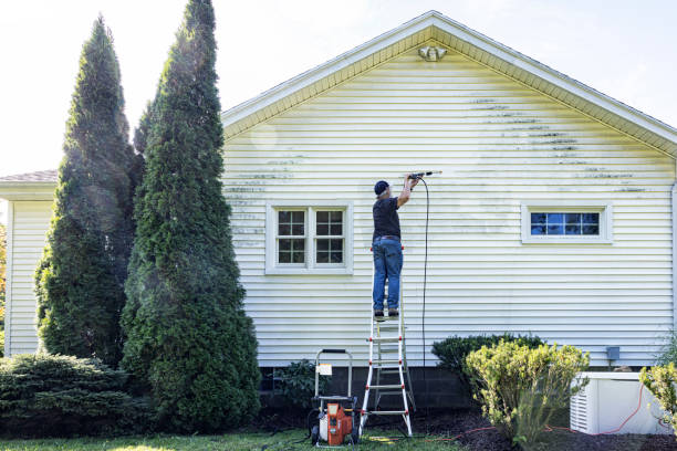 Best Commercial Building Pressure Washing  in St Bonifacius, MN