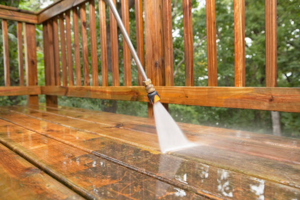 Best Fence Pressure Washing  in St Bonifacius, MN