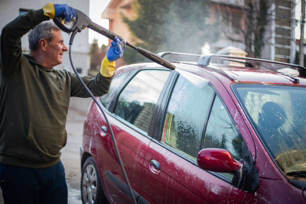 Best Fence Pressure Washing  in St Bonifacius, MN