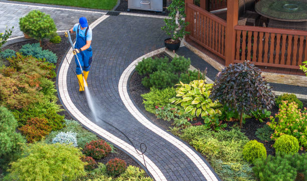 Best Commercial Building Pressure Washing  in St Bonifacius, MN