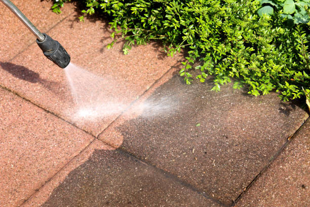 Best Power Washing Near Me  in St Bonifacius, MN